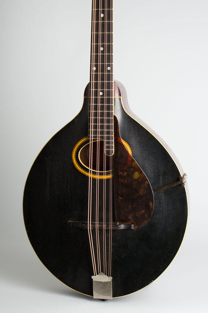 Gibson K-2 Carved Top Mandocello (1911)