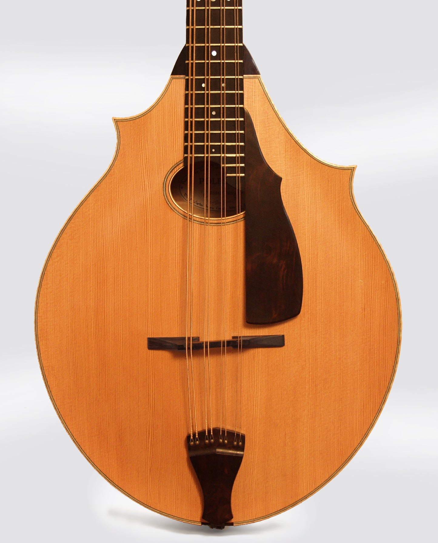 Polestar Cosmotone Mandocello