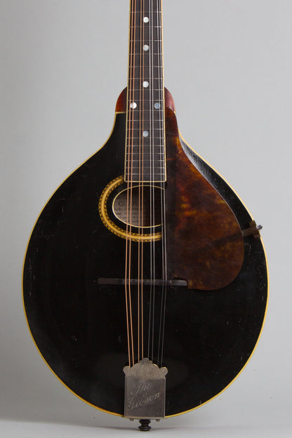 Gibson A-4 Carved Top Mandolin (1911)