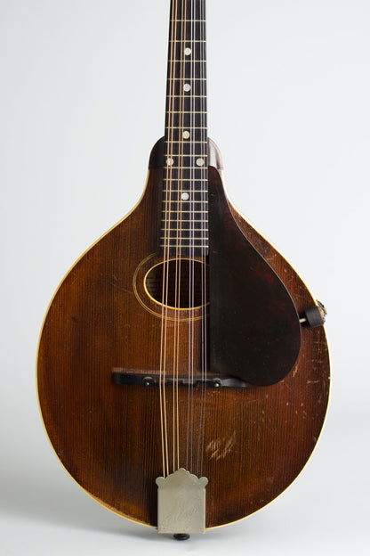 Gibson Style A Snakehead Arch Top Mandolin (1923)