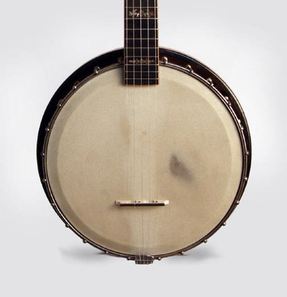 Orpheum No. 3 Special 5 String Banjo (1915)