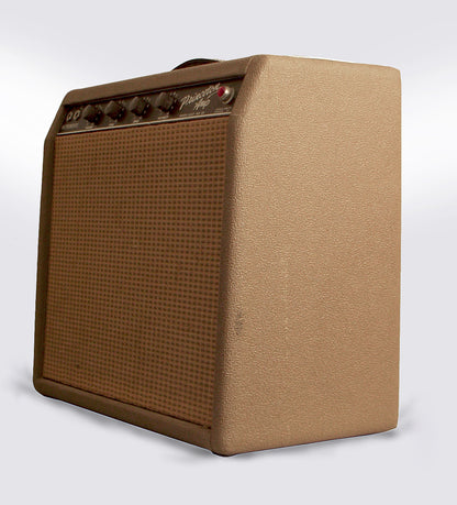 Fender Princeton Tube Amplifier (1962)
