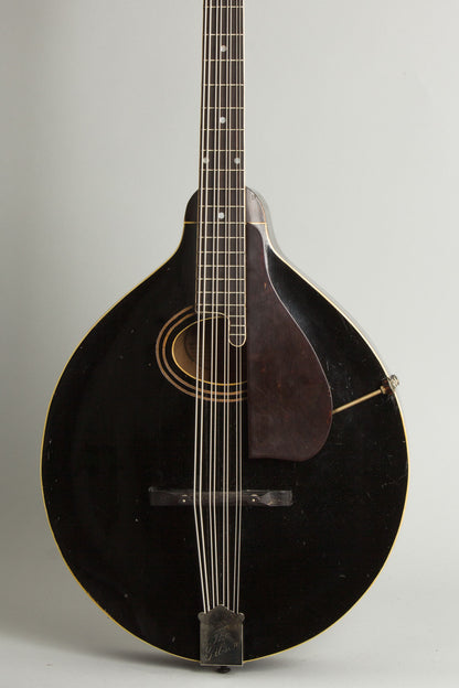 Gibson K-1 Carved Top Mandocello (1924)