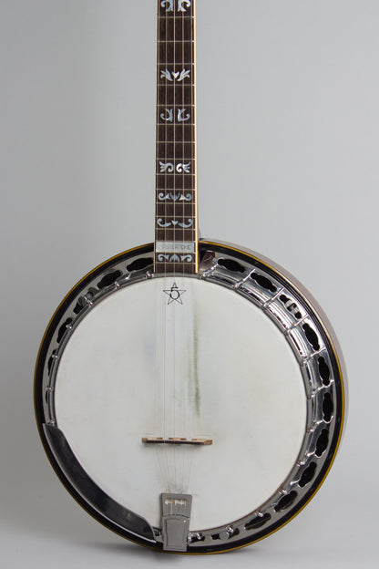 Monteleone Mastertone-style Neck on Alvarez Pot 5 String Resonator Banjo (1970/1973)