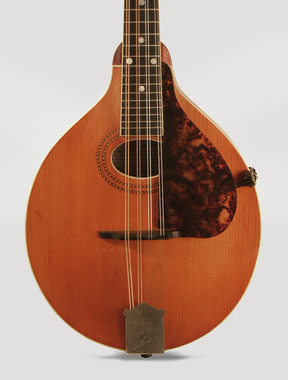 Gibson Style A-1 Carved Top Mandolin (1914)