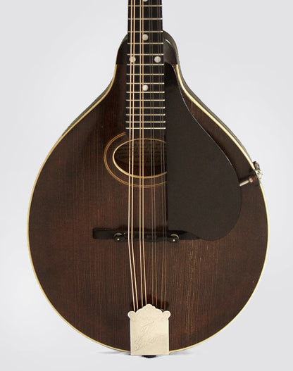 Gibson Style A ""Snakehead"" Carved Top Mandolin (1923)