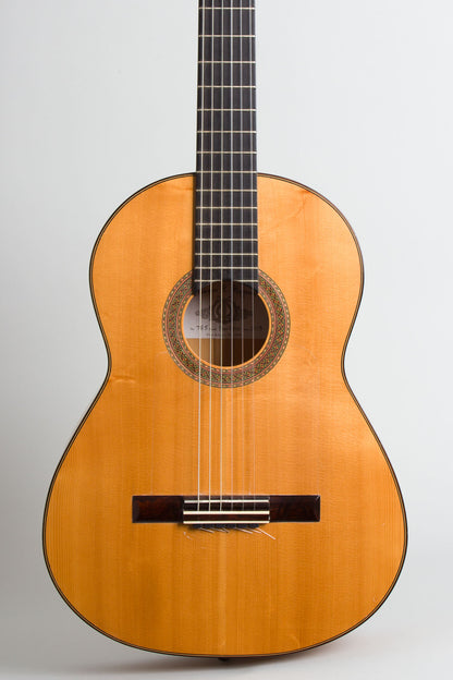 Darren Hippner Barbero pattern Flamenco Guitar (2013)