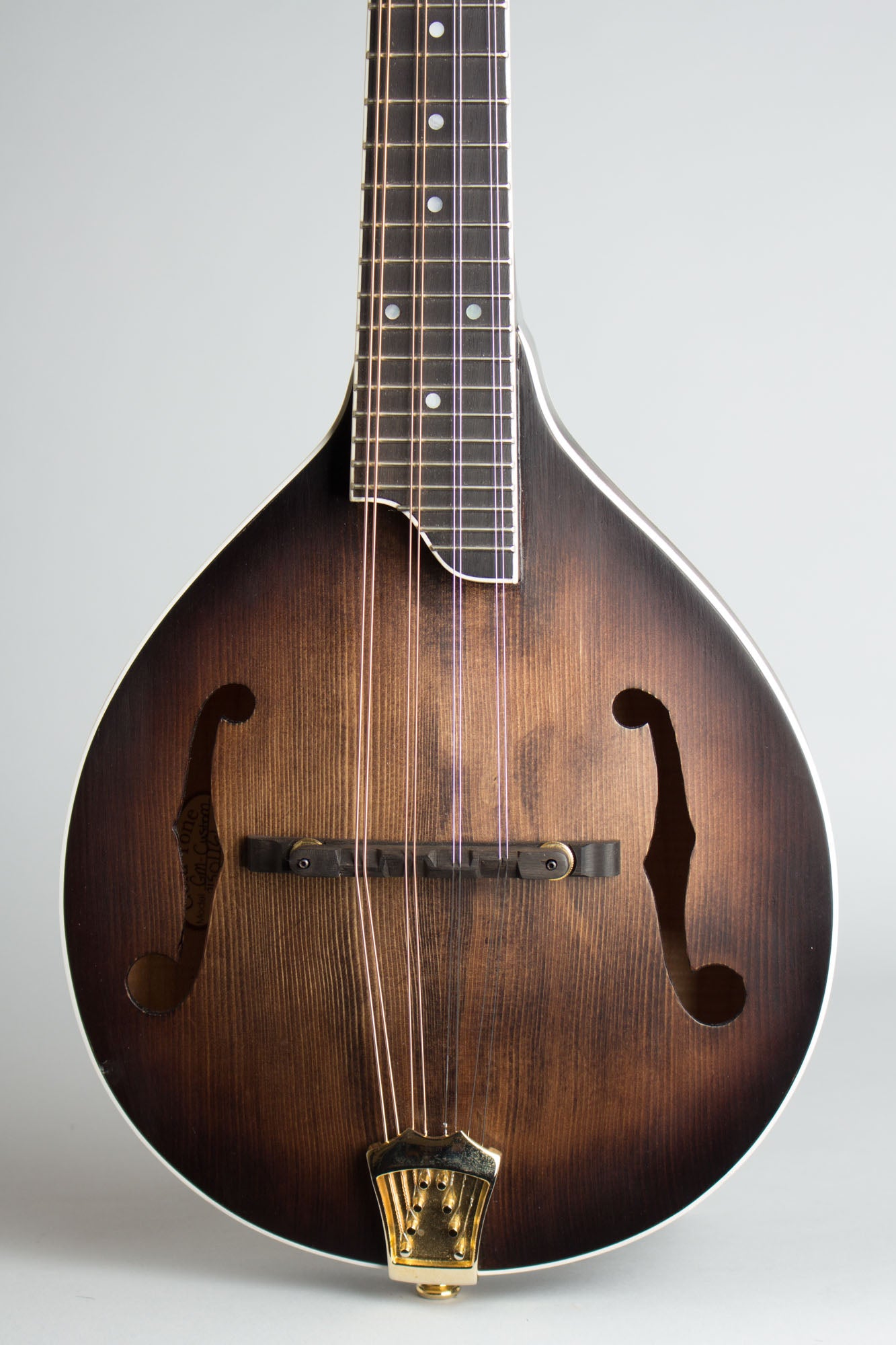 Gold Tone GM-Custom Arch Top Mandolin (2014)