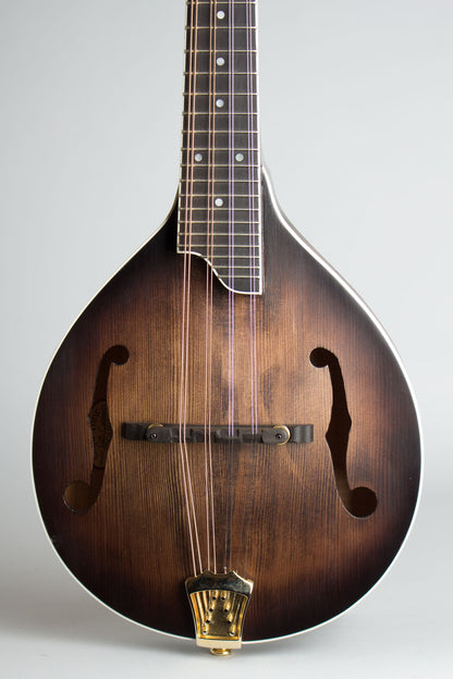 Gold Tone GM-Custom Arch Top Mandolin (2014)