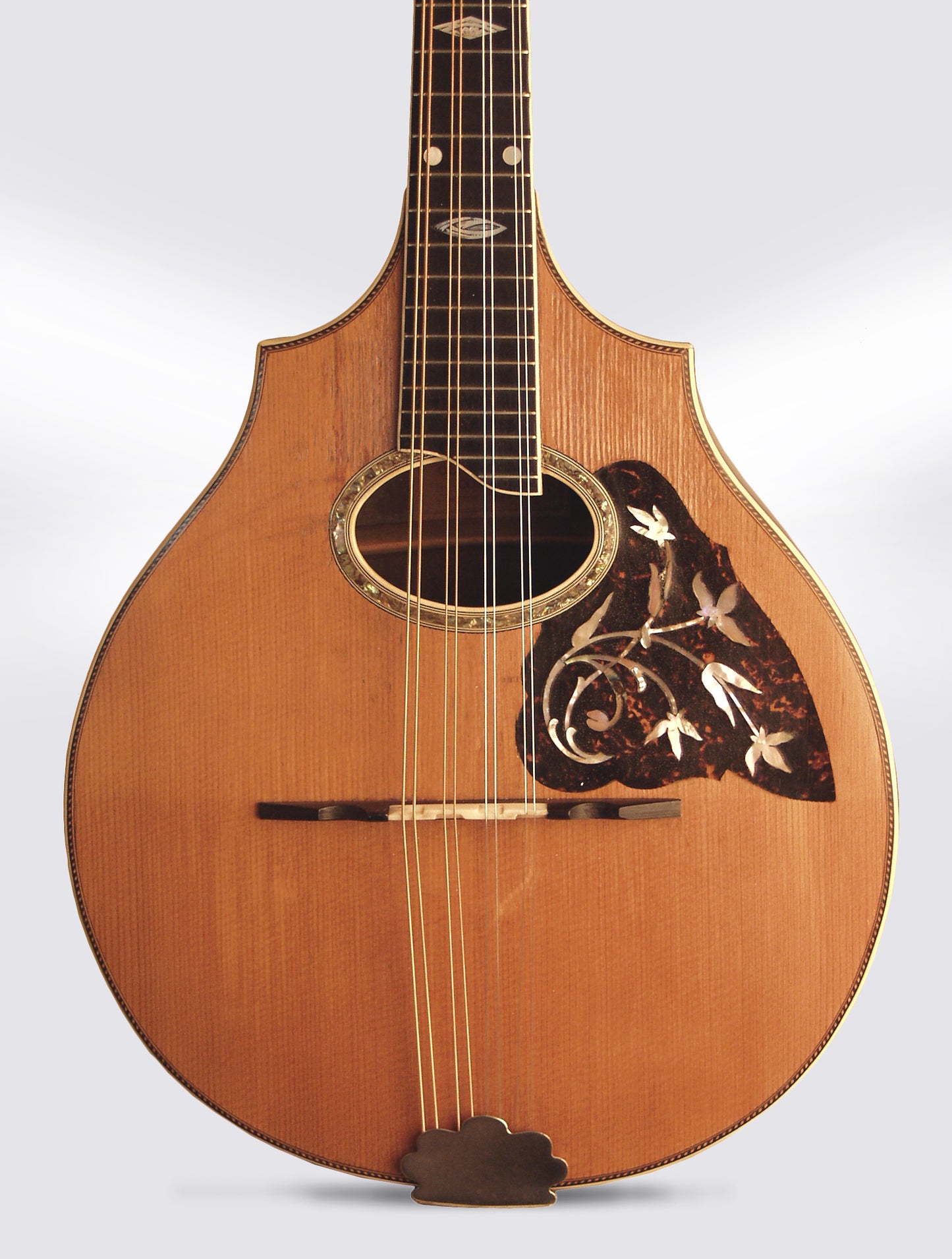 Vega Cylinder Back Style 305 Arch Top Mandolin (1916)