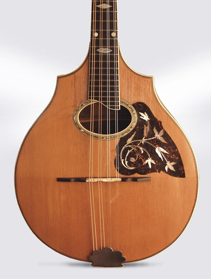 Vega Cylinder Back Style 305 Arch Top Mandolin (1916)