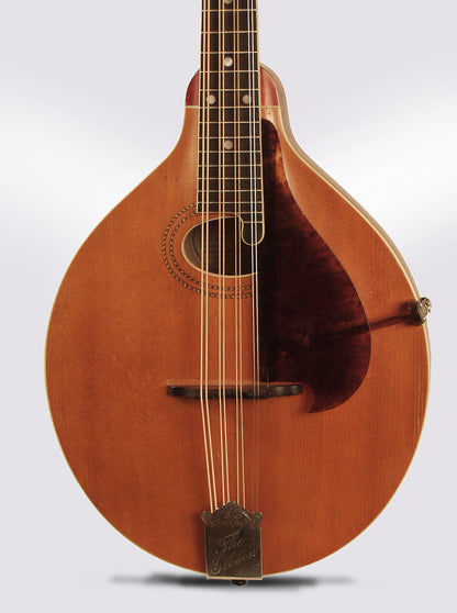 Gibson H-1 Carved Top Mandola (1913)