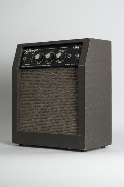 Kalamazoo Model Two Tube Amplifier (1966)
