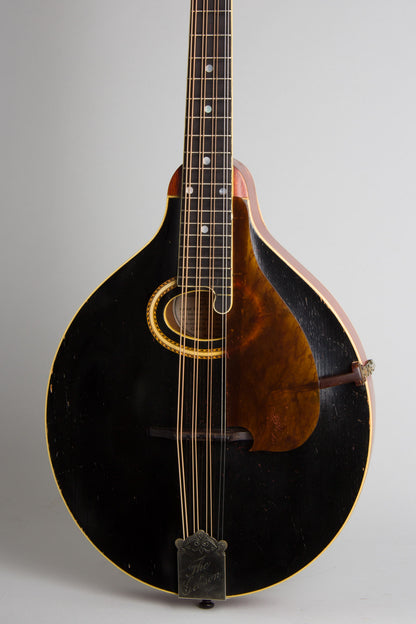 Gibson H-2 Carved Top Mandola (1912)