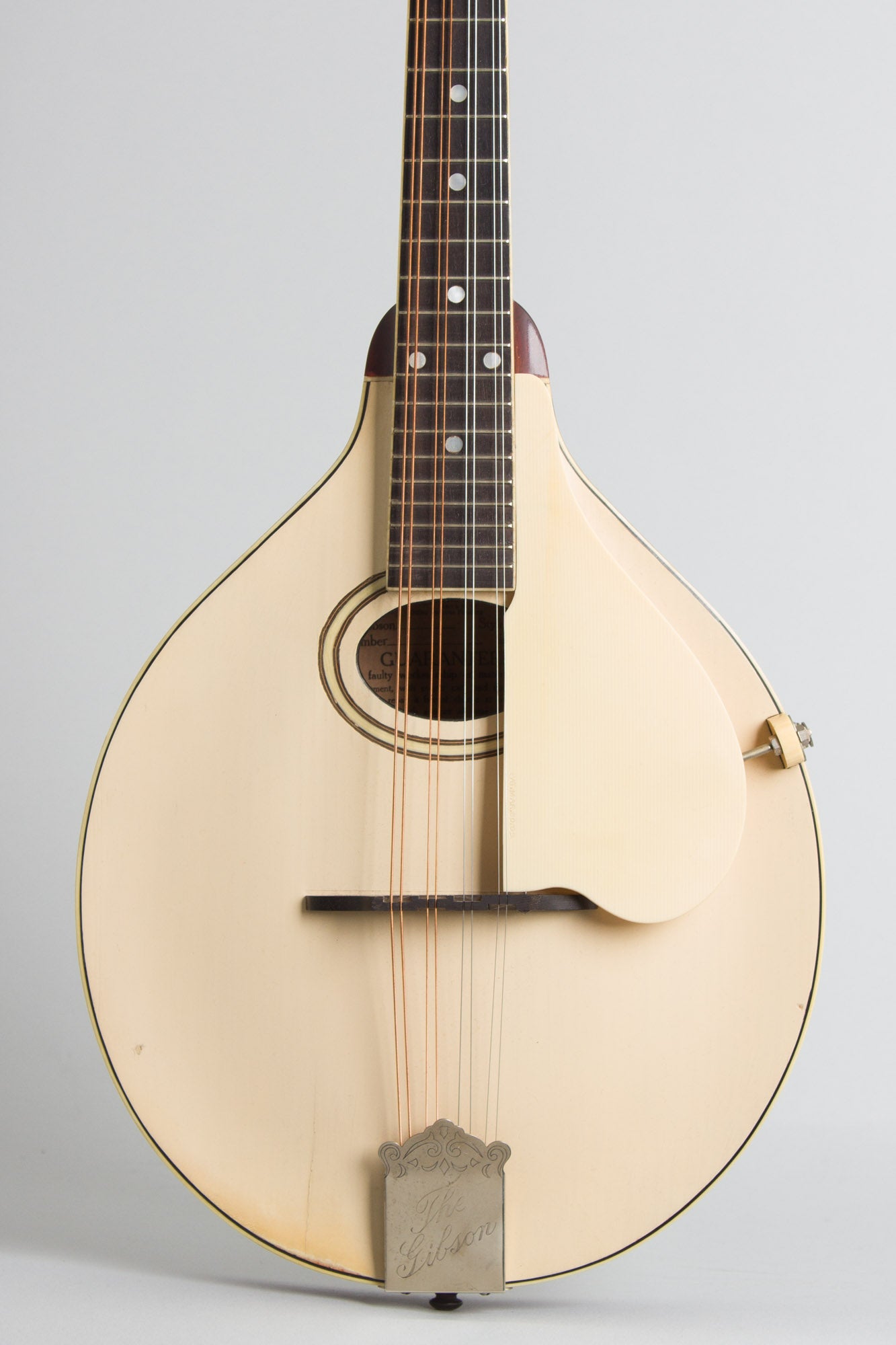 Gibson Model A-3 Carved Top Mandolin (1919)