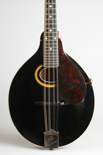 Gibson A-4 Carved Top Mandolin (1911)