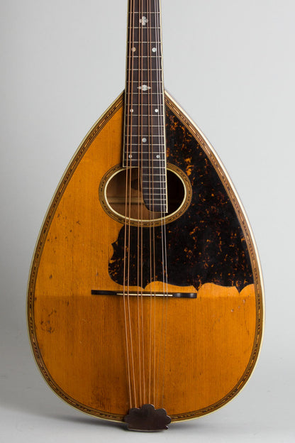 Larson Brothers Wm. Stahl Flat back, bent top Mandola (1920)