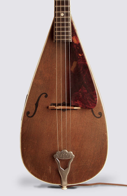 Vivi-Tone Electric Lute-Body Tenor Guitar (1933)