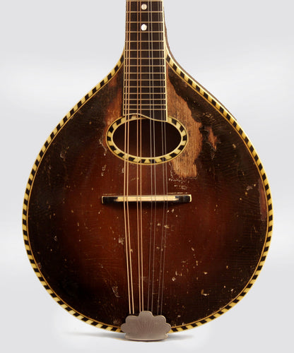 unlabelled Carved Top Mandolin (1920's)