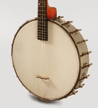 Lyon & Healy Washburn style 1830 Tango/Melody Banjo (1919)