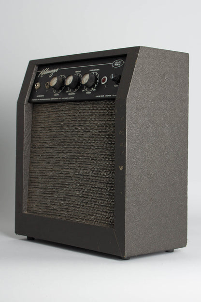 Kalamazoo Model Two Tube Amplifier (1966)