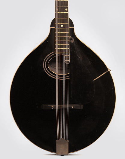 Gibson K-1 Mandocello (1924)