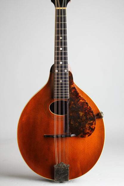 Gibson Style A-1 Carved Top Mandolin (1916)