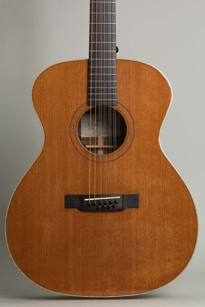 Circle Strings A-1 10 String Acoustic Flat Top Guitar (2018)