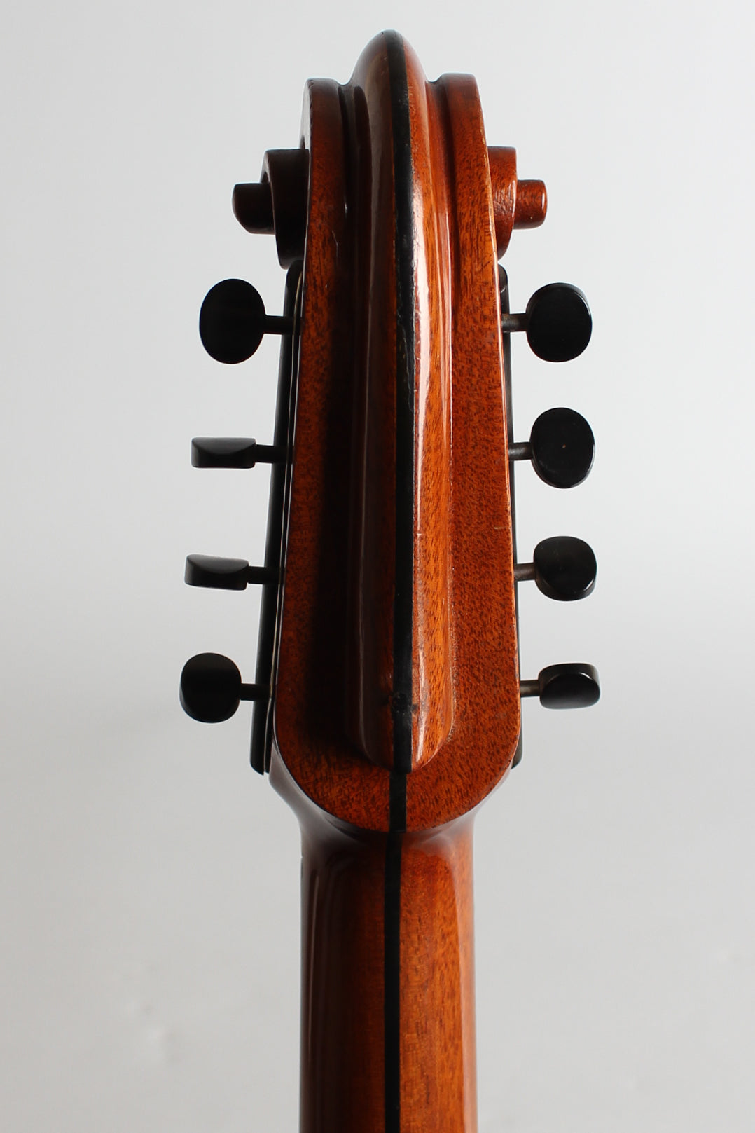 Lyon & Healy Washburn Style 5310 Carved Top Mandocello (1925)