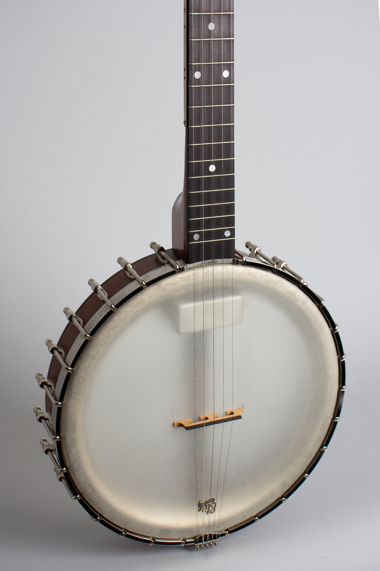 Bart Reiter Dobaphone Custom 5 String Banjo (2014)