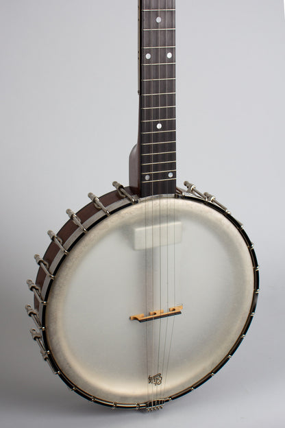 Bart Reiter Dobaphone Custom 5 String Banjo (2014)