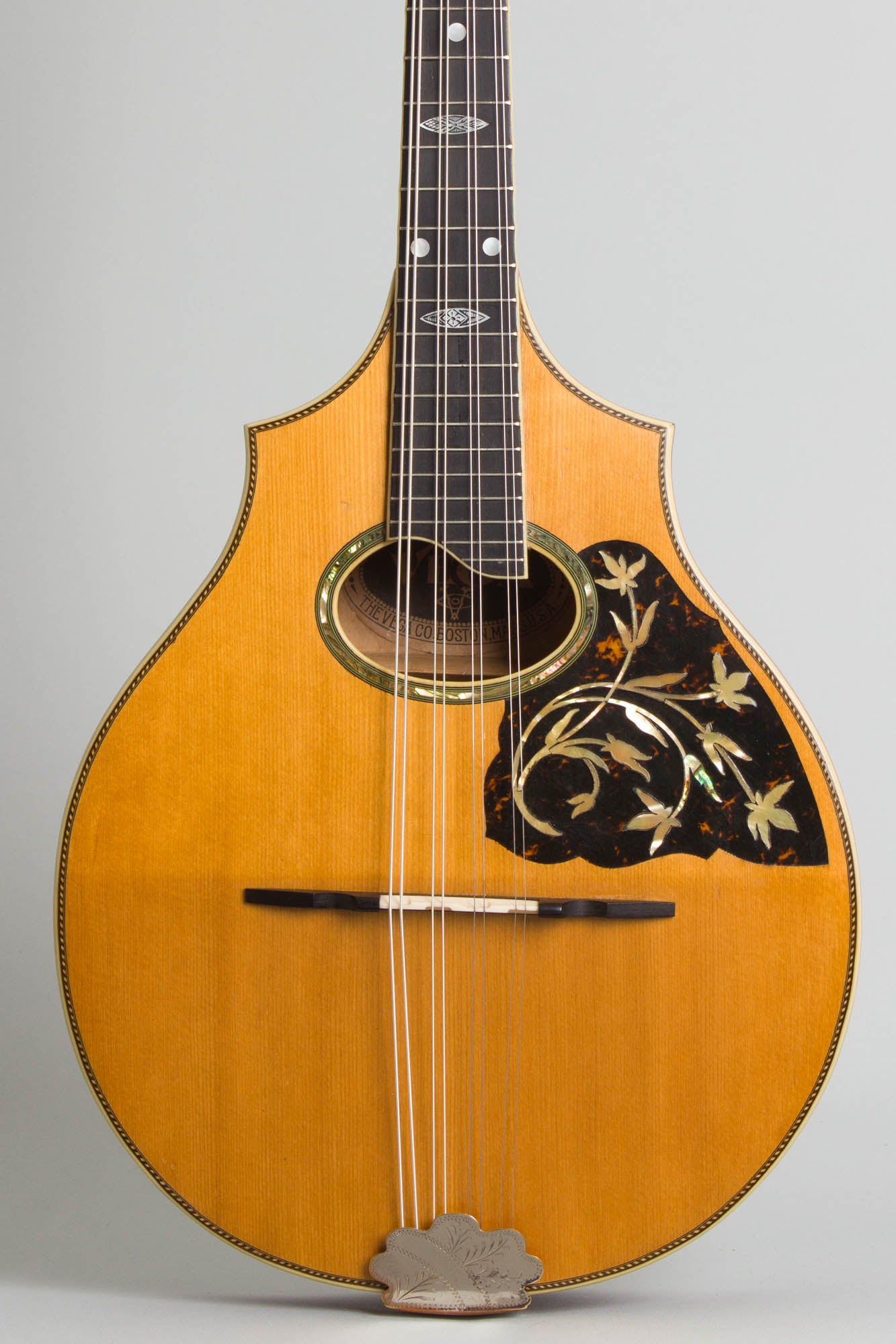Vega Cylinder Back Model 205 Mandolin (1917)