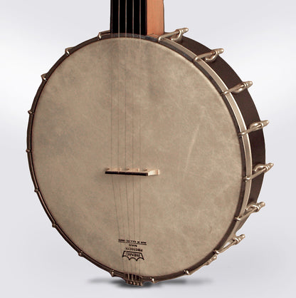 Mike Ramsey Custom 5 String Fretless Banjo