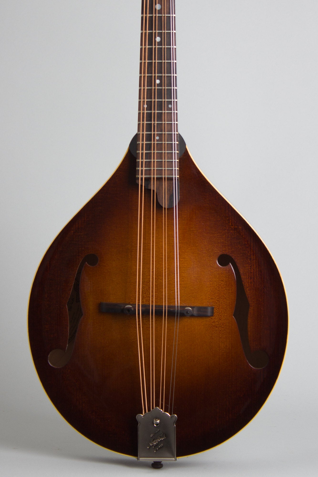 Northfield NFM-M5 Carved Top Mandola (2025)