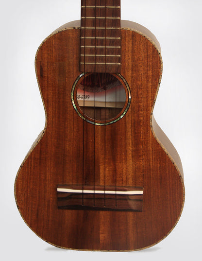 Pahu Kani Longneck Concert Ukulele (2009)