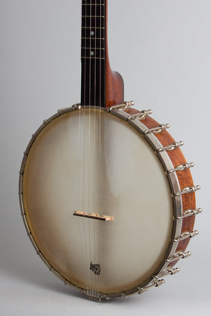 Bart Reiter Round Peak 5 String Banjo (2010)