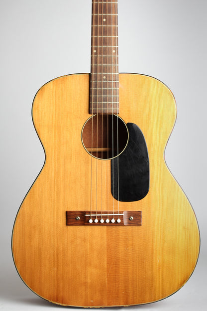 Harmony H-162 Flat Top Acoustic Guitar (1960's)