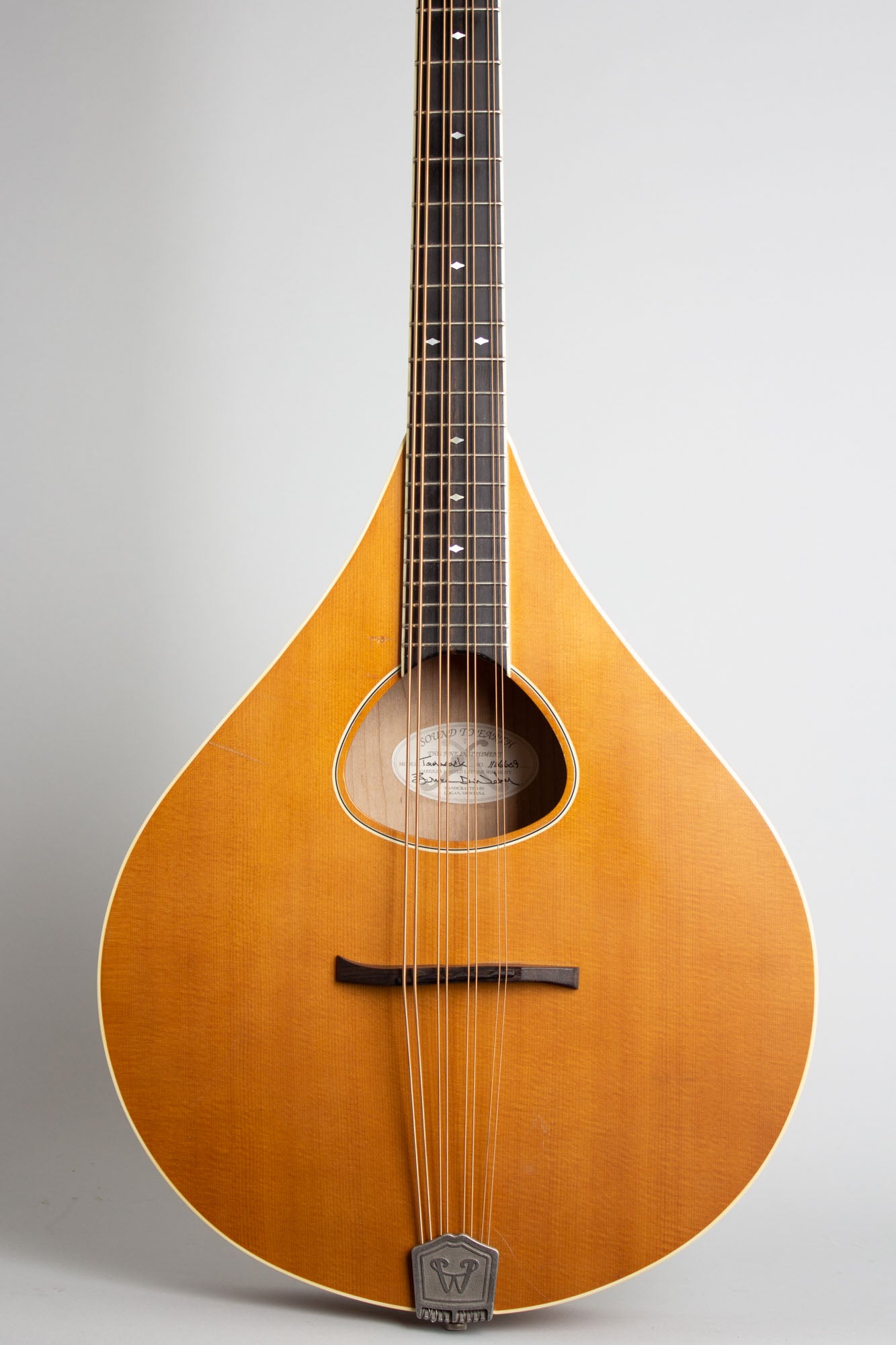 Weber Tamarack Flat Top Mandocello (2011)