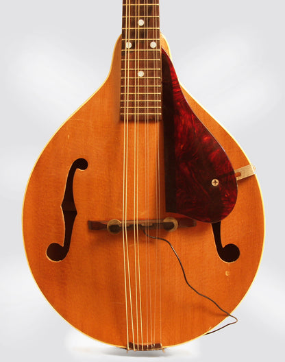 Gibson A-40 Carved Top Mandolin (1949)