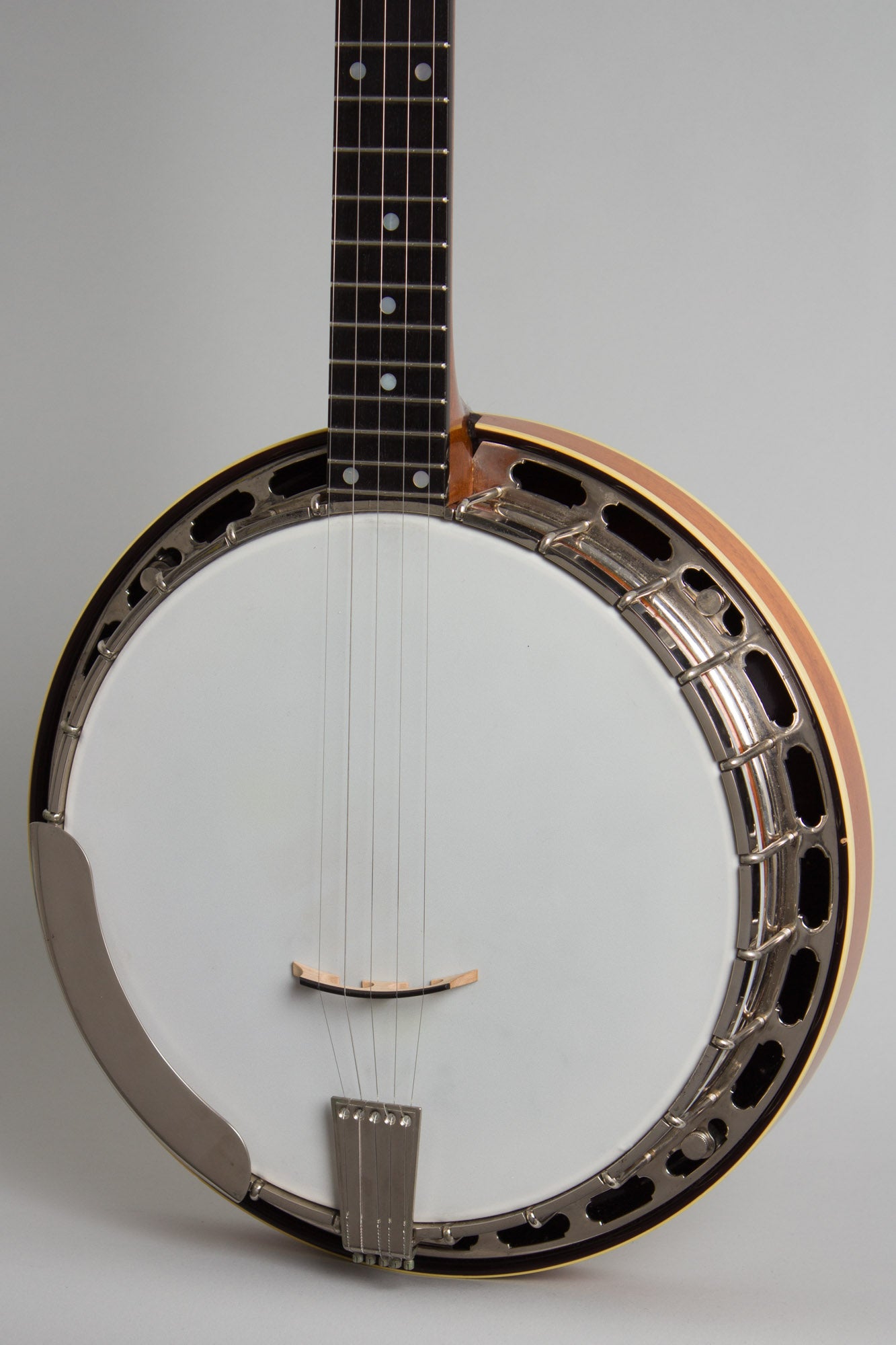 Goose Acres Bluegrass Model 5 String Resonator Banjo (1996)