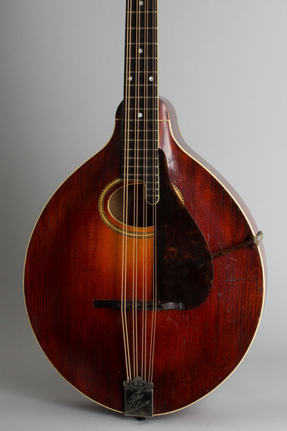 Gibson K-2 Carved Top Mandocello (1912)