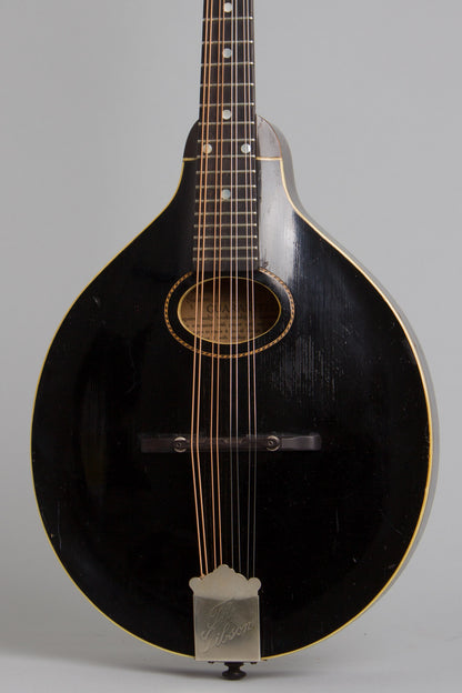Gibson Style A-1 Snakehead Carved Top Mandolin (1925)