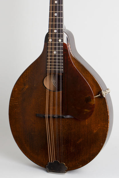 Gibson A-Junior Snakehead Carved Top Mandolin (1925)