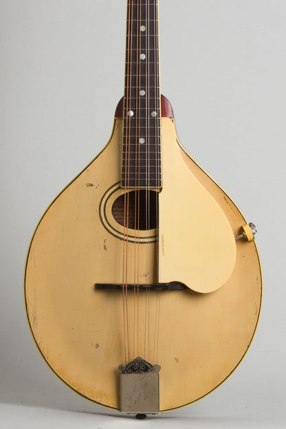 Gibson Model A-3 Carved Top Mandolin (1919)