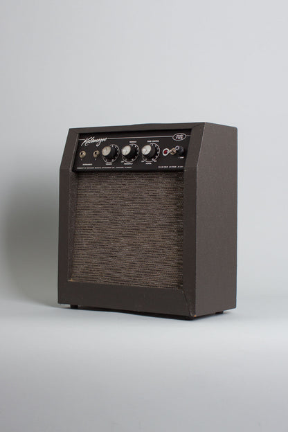 Kalamazoo Model Two Small Combo Tube Amplifier (1967)