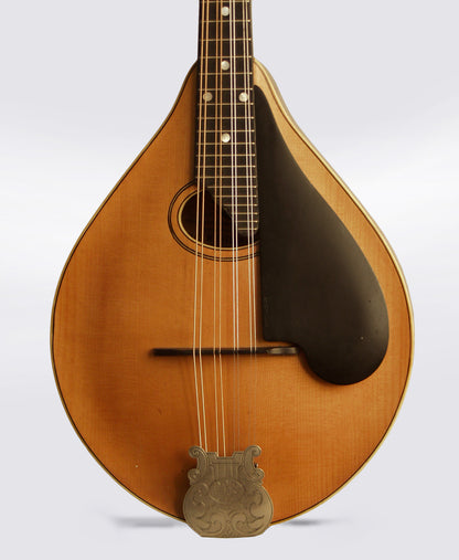 Lyon & Healy Style C Carved Top Mandolin (1922)