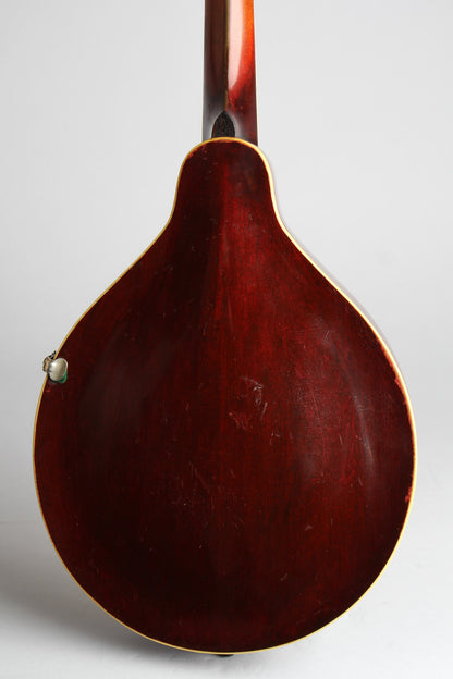 Gibson Style A-3 Carved Top Mandolin (1920)