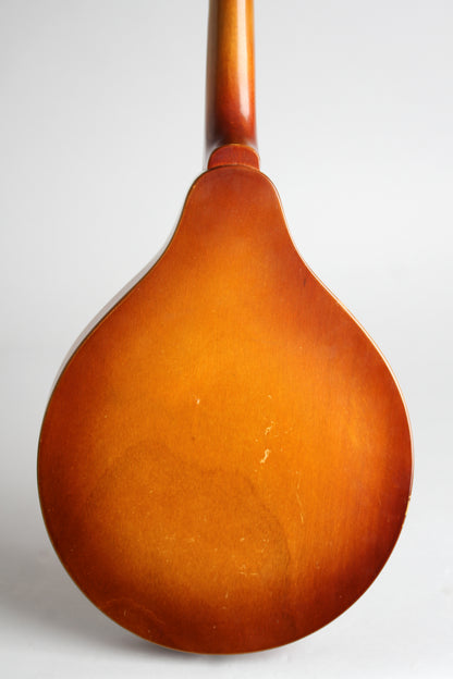 Stradolin Model 420 Arch Top Mandolin (1950)
