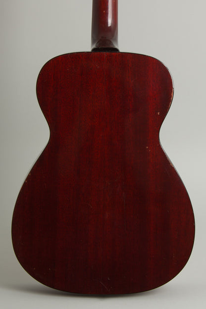 Guild F-20 Flat Top Acoustic Guitar (1965)