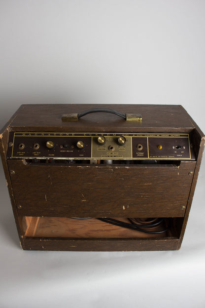 Magnatone Custom 410 Tube Guitar Amplifier (1962)
